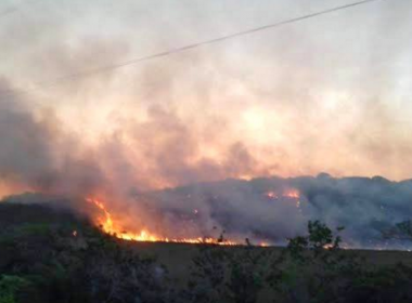 Santa Cruz Cabrália: Incêndio atinge área de preservação ambiental há cinco dias