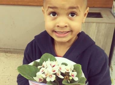 Menino empurra colega na escola e mãe obriga filho a levar flores: ‘Não se bate em mulher’