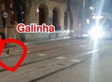 Galinha faz VLT parar e prefeito brinca em rede social: ‘Só no Rio’