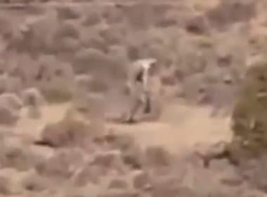 Vídeo flagra criatura estranha em deserto e repercute na internet; assista