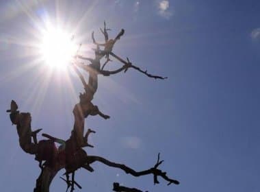 Estudo aponta crescimento da seca no Nordeste