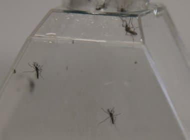 Sesab usou apenas 7% dos recursos federais para combate direto ao Aedes em 2015