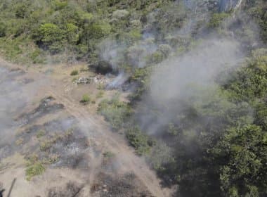 Incêndio já destruiu área equivalente a 350 campos de futebol na Bahia
