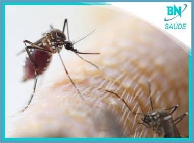Pesquisadores identificam vírus Zika nos olhos de infectados