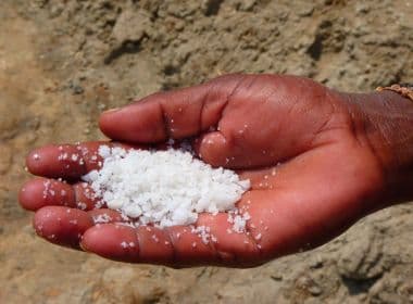 Consumidor brasileiro comprou sal 20% mais caro por 30 anos, aponta Cade