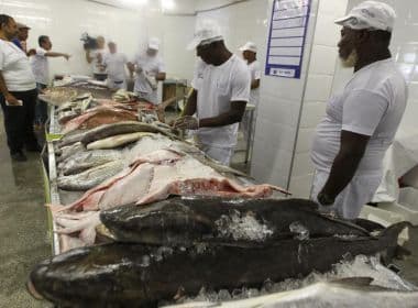 Peixes e mariscos são vendidos com desconto de 38% no Terminal Pesqueiro