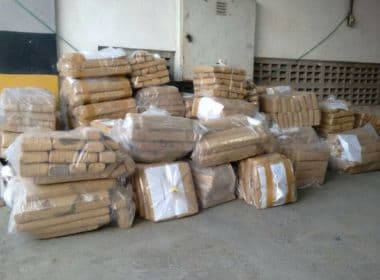 Polícia incinera 5,5 toneladas de drogas; 0,5 tonelada de cocaína apreendidas em SSA