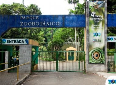 Jaulas de macacos no Jardim Zoológico são protegidas contra Aedes aegypti