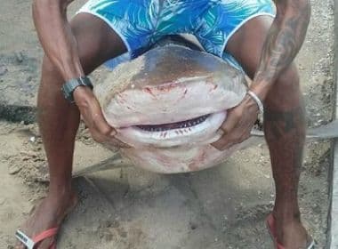 Pescadores encontram tubarão na praia de Itapuã; peixe foi fatiado e vendido no local