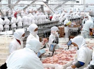 China faz investigação sobre importação de frango brasileiro