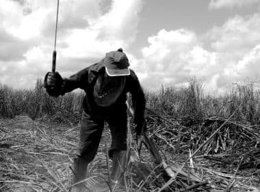 Trabalho escravo: Brasil passa a ser exemplo negativo após portaria, diz OIT