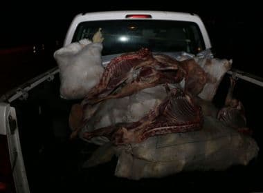 RMS: Operação apreende 4 toneladas de carne irregular em Pojuca e Candeias