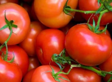 Tomate pode ser arma contra câncer de próstata