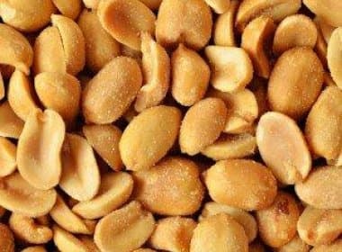 Comer amendoim nos primeiros 11 meses de vida reduz risco de alergia, aponta estudo