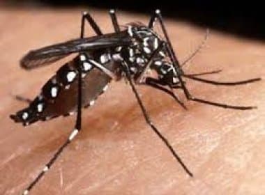 Índice de dengue em prédios de Salvador cai para 1,8%; Cidade continua em ‘alerta’