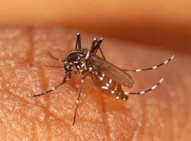 Chikungunya pode ter chegado do Caribe; Saúde usará métodos de controle da dengue