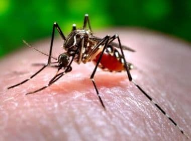 Chikungunya: 19 confirmações e 21 casos descartados em Feira de Santana