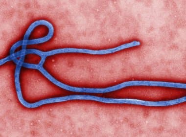 Testes de vacina experimental contra ebola começam esta semana na Suíça