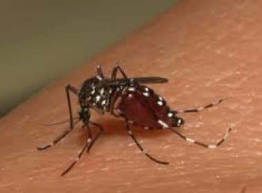 Casos suspeitos de chikungunya chegam a mais de 1,8 mil no estado