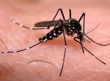  El salvador confirma duas mortes pela febre chikungunya