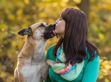 Beijar cachorro de estimação na boca pode ser benéfico para saúde, segundo pesquisa
