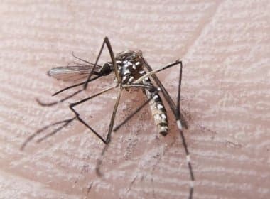 Infectologista afirma que chegada do vírus Zika ao Sudeste é inevitável