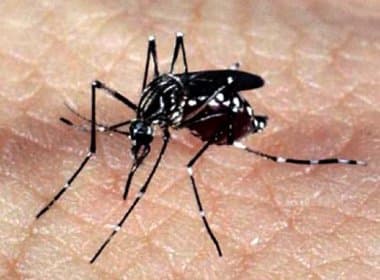 Epidemia de zika acabará sozinha em três anos, afirmam cientistas