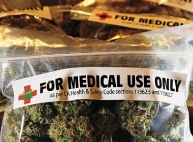 Anvisa aprova primeiro registro de medicamento à base de cannabis