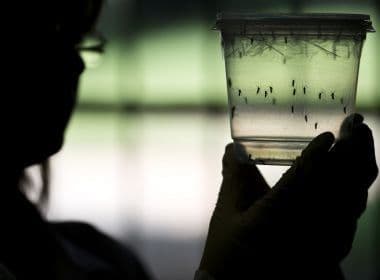 Universidade do SUS promove curso online sobre abordagem clínica de zika