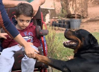 Rottweiler alerta convulsão e salva menino de seis anos