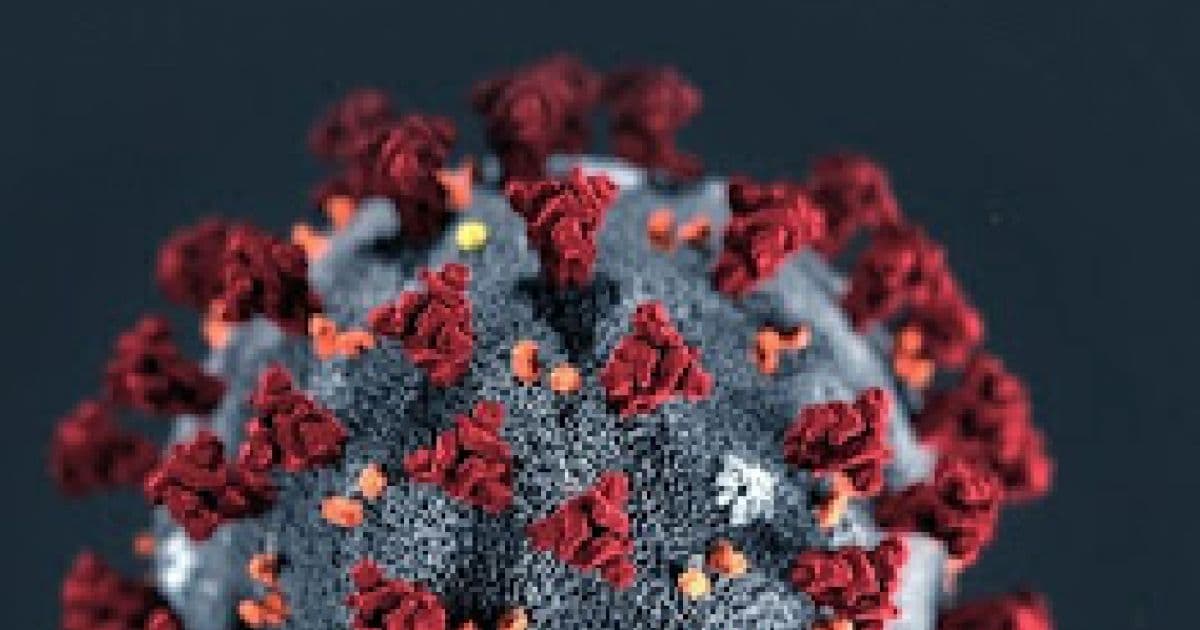 Instituto pesquisa tratamento para Covid-19 a partir de anticorpos de curados