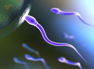 Estresse prejudica produção de espermatozoides