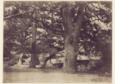 Fotografias de Gustave Le Gray em arquivo digital gratuito