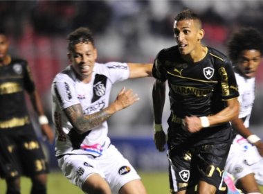 Botafogo vence a Ponte e dorme líder do Brasileirão