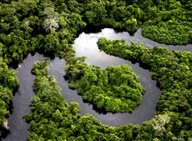 Desmatamento na Amazônia sobe 35% de agosto a maio