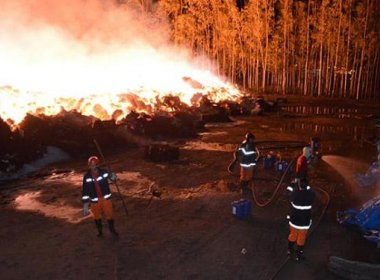 Luís Eduardo Magalhães: Raio incendeia 50 toneladas de algodão