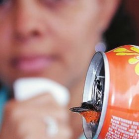 Mulher encontra passarinho dentro de lata de refrigerante em churrascaria baiana