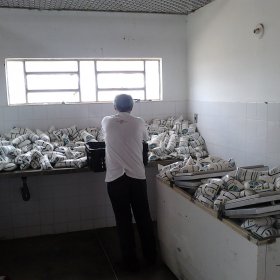 Curaçá: Apesar de promessa, distribuição de Leite Fome Zero continua precária