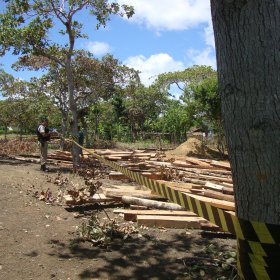 Vale do Jequiriçá: Fazendeiro é preso com sete caminhões de madeira irregular 