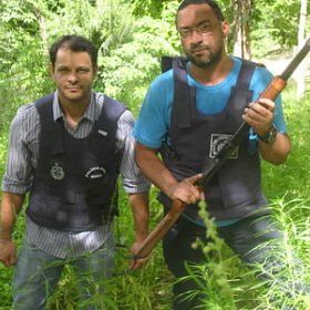 Camacan: Polícia descobre plantação de 100 mil pés de maconha