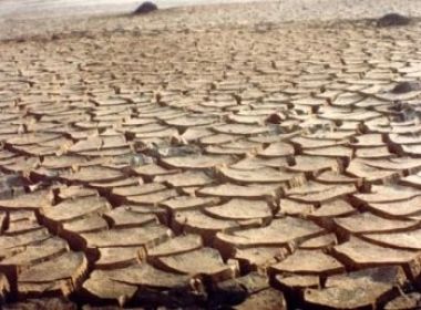 Bahia tem 123 municípios em estado de emergência por causa da seca