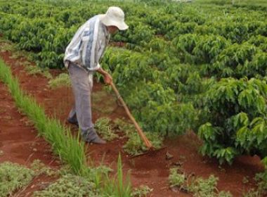 Reforma agrária registra pior ano desde 1995