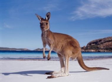 Visto para brasileiros visitarem a Austrália será feito pela internet