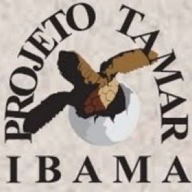 Projeto Tamar derruba pedido de liminar que bloquearia bens da entidade