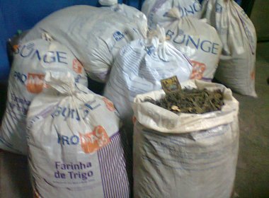 Feira de Santana: Dez sacos de maconha e 8,5 kg de cocaína são apreendidos pela PM