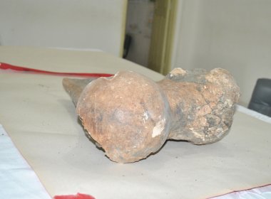 Fóssil é descoberto por artista plástico em Vitória da Conquista
