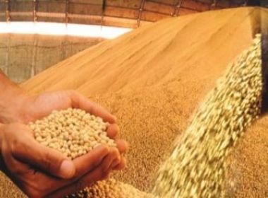 Brasil deve superar Estados Unidos na produção de soja