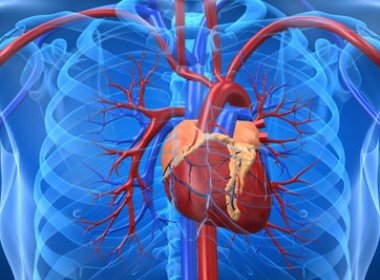 Frango com pele tem mais colesterol que picanha, diz médico especialista em cirurgia cardiovascular