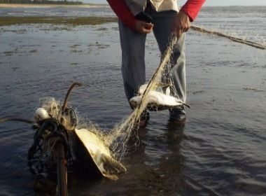 Porto Seguro: Pescador é preso acusado de praticar pesca predatória de tartarugas marinhas