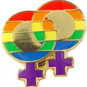 Fórum LGBT pede providências à Secretaria de Direitos Humanos sobre mortes de lésbicas